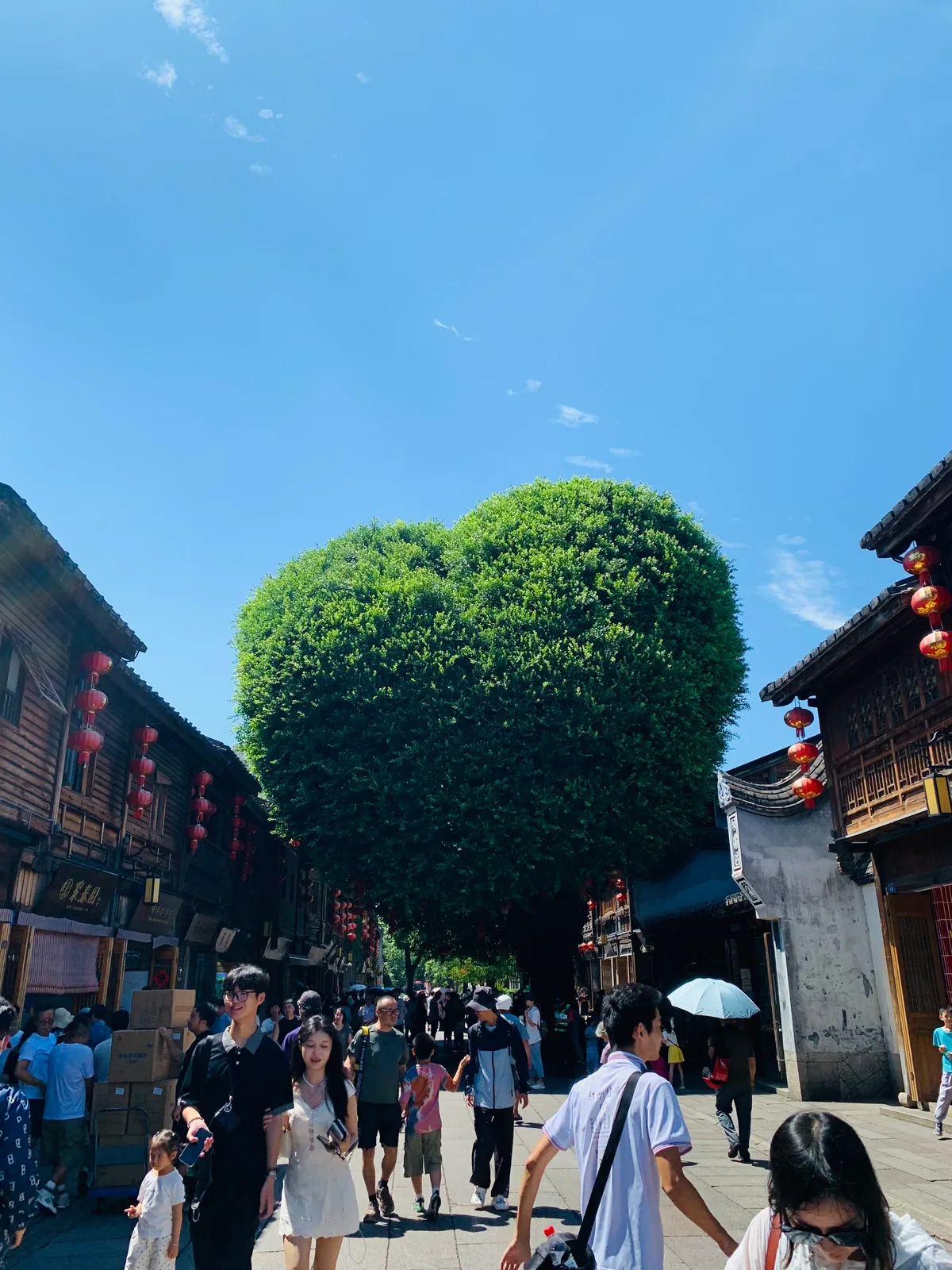 福州 · 福州 · 三坊七巷